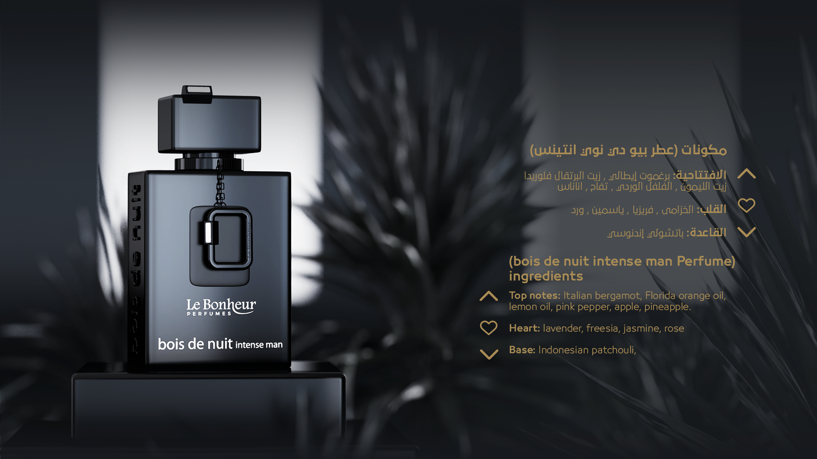 عطر بخاخ بوا دي نوي انتنس رجالي - الصورة 5